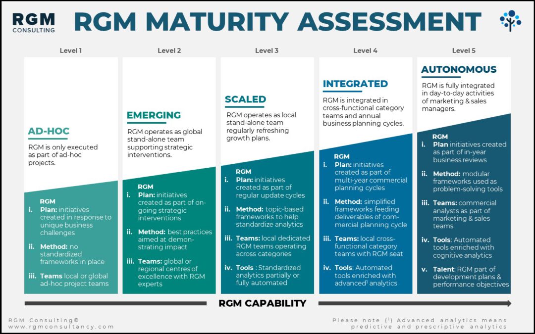 RGM Capability Roadmap – Your Roadmap to RGM Excellence