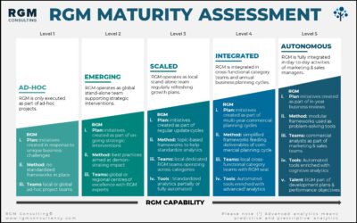 RGM Capability Roadmap – Your Roadmap to RGM Excellence